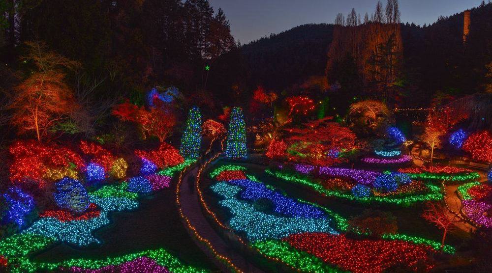 Les jardins Butchart illuminés le soir, parterres et arbres couverts de lumières colorées