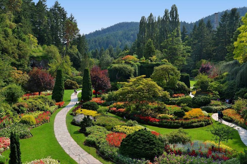 Les jardins Butchart en été : les parterres en fleurs du Sunken Garden et ses allées, sous le soleil