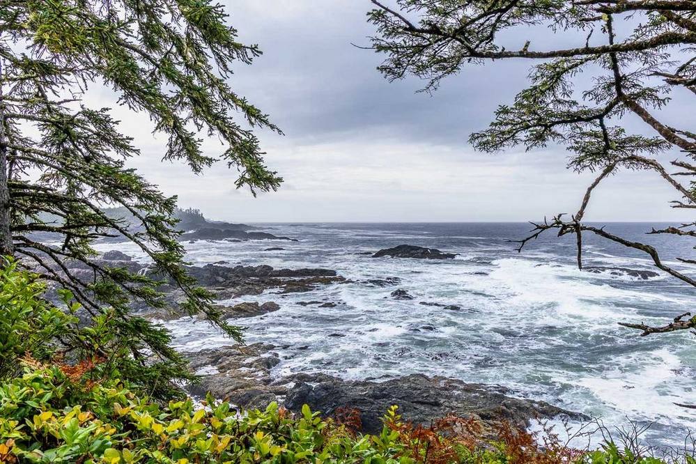 La côte sauvage d'Ucluelet, le long du sentier Wild Pacific : les vagues du Pacifique se brisent sur les rochers noirs, face à l'océan ouvert