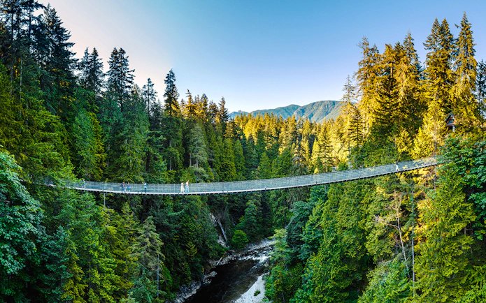 Le pont suspendu de Capilano au-dessus du canyon, dans la forêt pluviale de North Vancouver